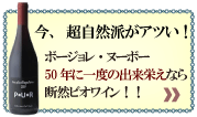 �o���X�w�ƈ��݃��C���x���N�̃k�[�{�[�͒f�R�r�I
